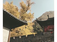 -秦岭风景区