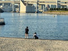 -台场海滨公园船码头