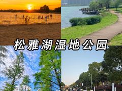 -橘子洲景区