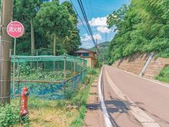 -万达广场(金堂店)