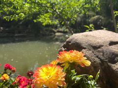 -竹泉村旅游度假区