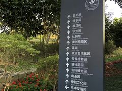 -东莞植物园
