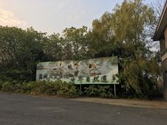 -盐城丹顶鹤湿地生态旅游区