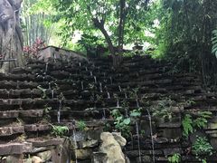 -老木棉·匠园
