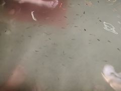 -咸宁万豪温泉谷度假区