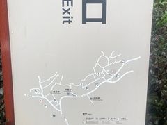 -龙井村