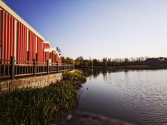 -上海长兴岛郊野公园