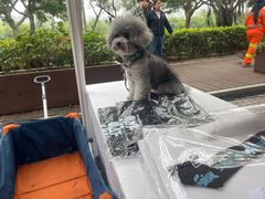 -默迹咖啡馆