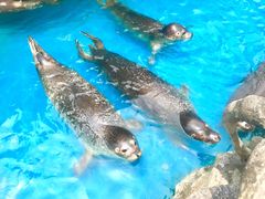 -华夏文旅西安度假区