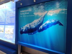 -上海海洋大学鱼文化博物馆(军工路校区)