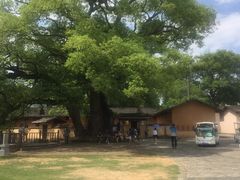 -共和国摇篮旅游区-红井景区