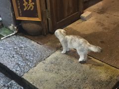 -王天顺海苔饼
