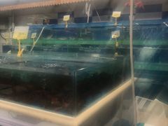 -山姆士超市(兴华街店)