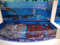 -乔哥铭洋海鲜自助(皇城恒隆广场店)