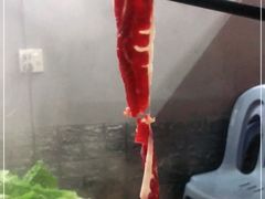 -阿欢牛肉店·火锅·粿条面