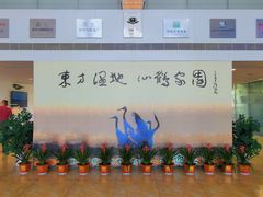 -盐城丹顶鹤湿地生态旅游区