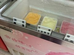 -成裕雪糕店(士多店)