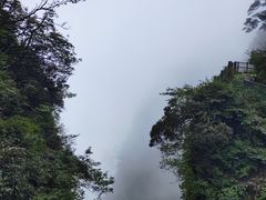 -峨眉山风景名胜区