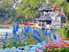 -荔湾湖公园