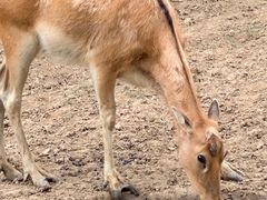 -杭州野生动物世界