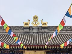 -西安市广仁寺