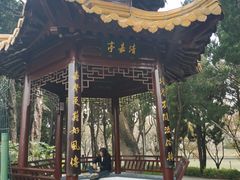 -嘉定紫藤园