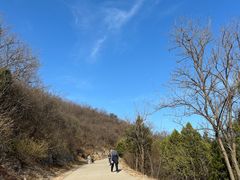 -北京西山国家森林公园