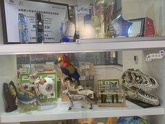 -斯坦星球AI编程·机器人科创·科学实验·信奥·思维·STEM·乐高·竞赛考级(长宁虹桥大融城荟聚中心)