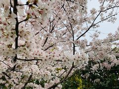 -闵行体育馆-停车场