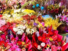 -朝来春花卉市场
