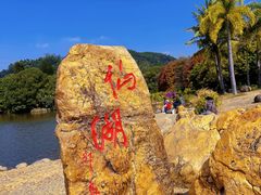 -深圳仙湖植物园