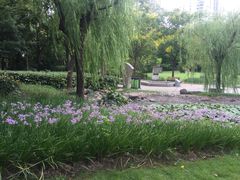 -苏州河梦清园环保主题公园