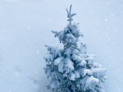 -丝绸之路山地度假区滑雪场