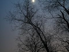 -鬼笑石后山停车场
