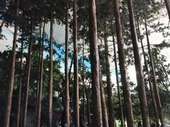 -吉林省自然博物馆