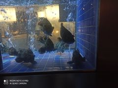 -徐记海鲜(观沙岭|滨江新城店)