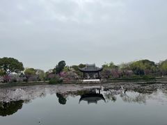 -无锡蠡湖国家湿地公园-蠡园