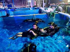 -烟台海昌鲸鲨海洋公园