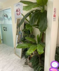 -健身堂科技美肌SPA