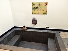 -水底山庄园温泉
