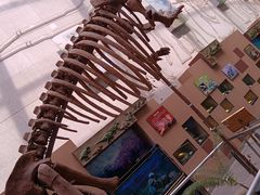 -陕西自然博物馆