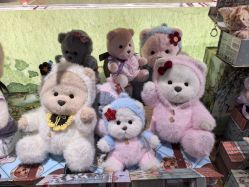-TeddyTales莉娜熊(国贸店)