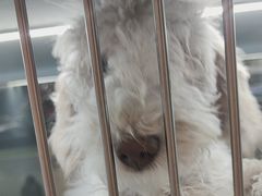 -FAELING PETS美天灵宠物(合生汇店)