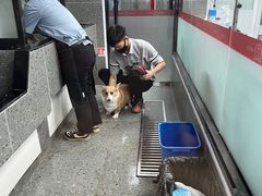 -宠物家(大兴旧宫店)