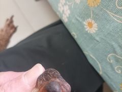 -乐宠动物医院
