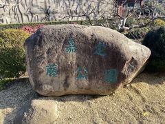 -嘉定紫藤园