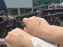 -圣淘沙天际线斜坡滑车