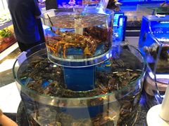 水产区-新海渔港·胶东海鲜家常菜·家宴(奥体中心店)