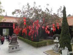 -三水森林公园