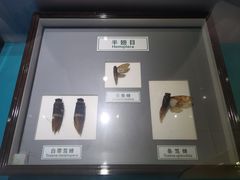 -上海昆虫博物馆